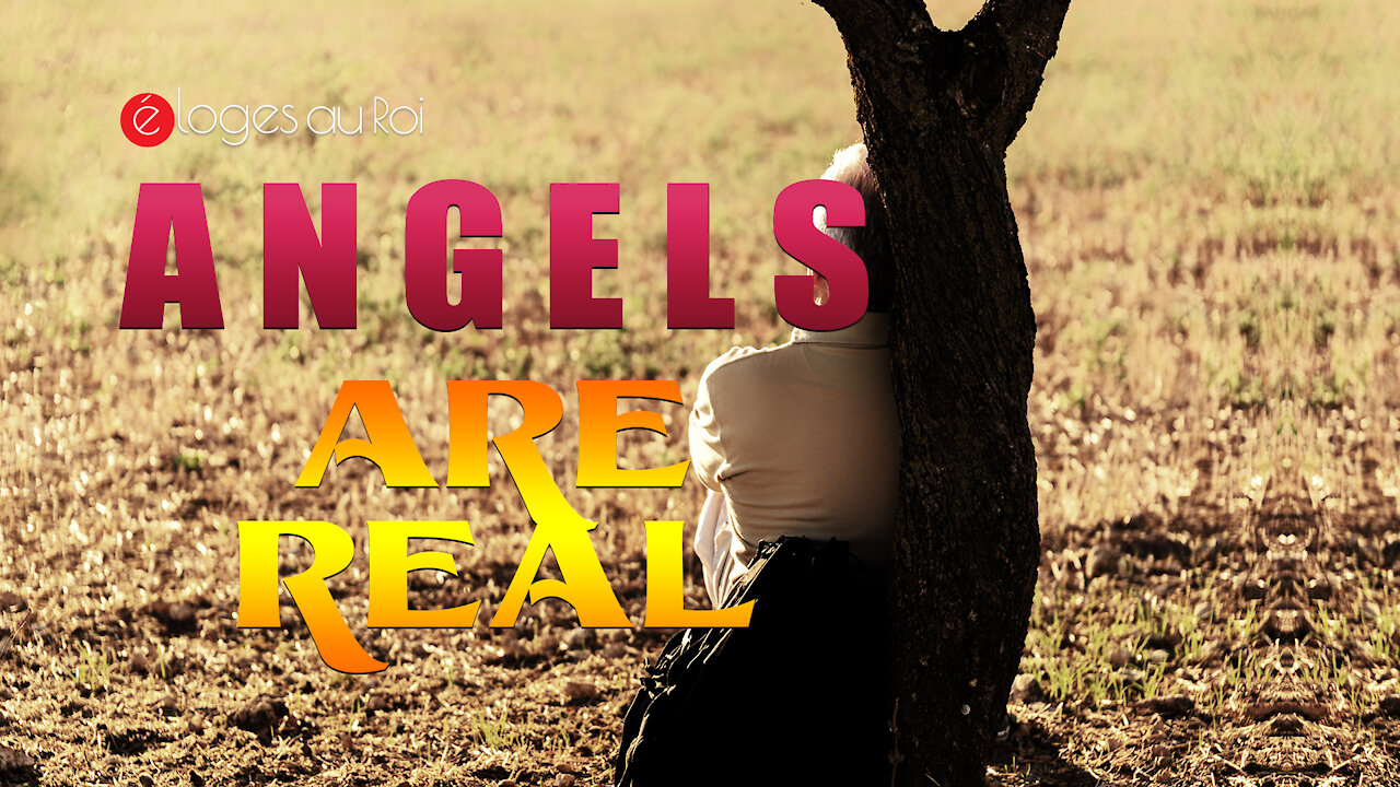 Angels Are For Real