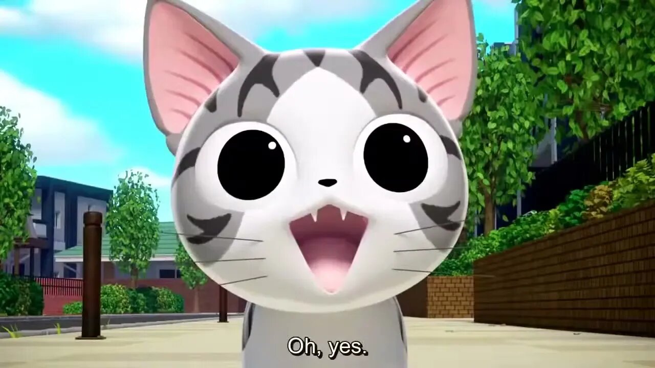 Chi's Cute Cat Episode - Lesson for Chi Part 1