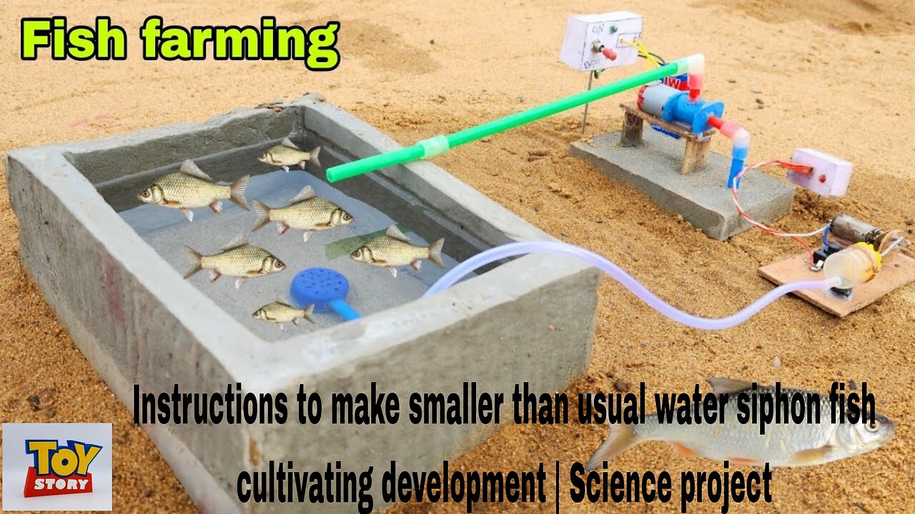 Instructions to make smaller than usual water siphon fish cultivating development | Science project