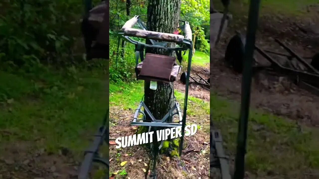 Best Climbing Treestand - Summit Viper SD #hunting #summit #deerhunting