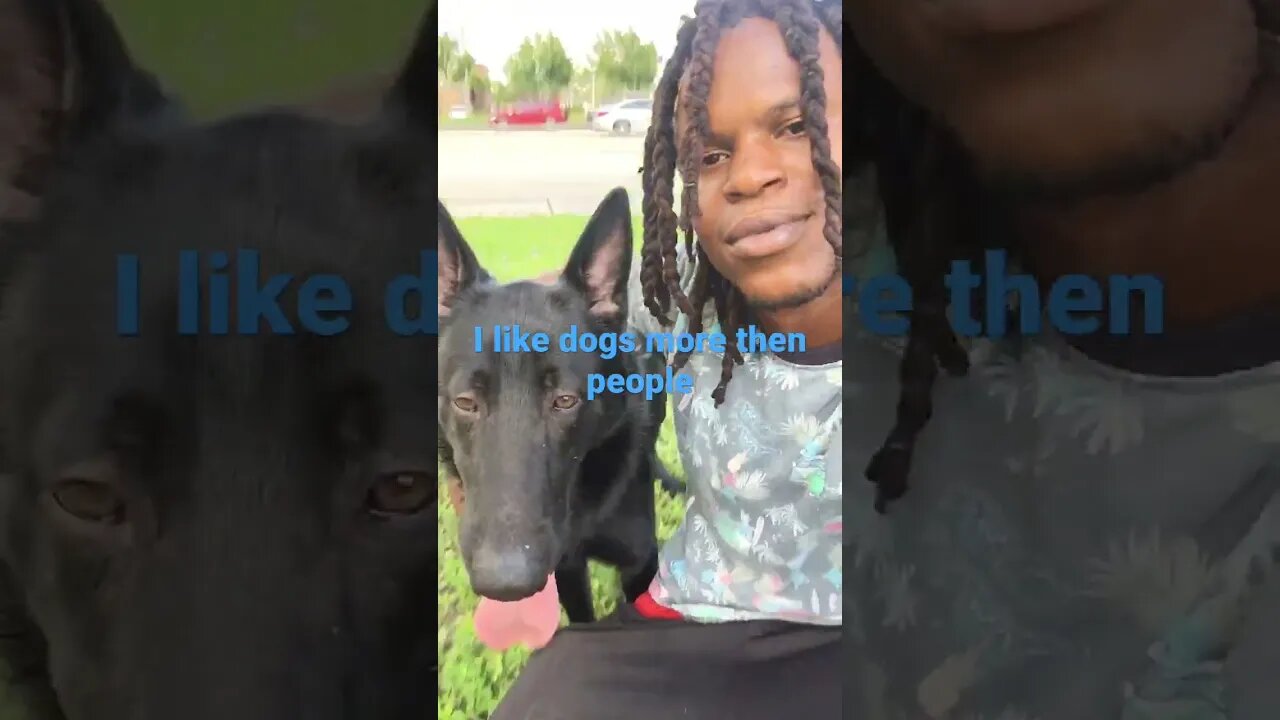 I love my dogs lol they act better then humans