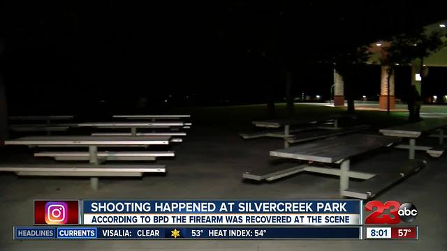 Teenager shot during robbery at Silver Creek Park