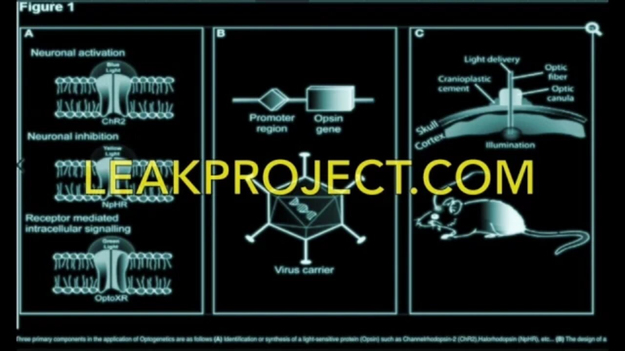 Scientists Control Brains w/ Lights - Cutting Edge Smartdust 2017 Optogenetics