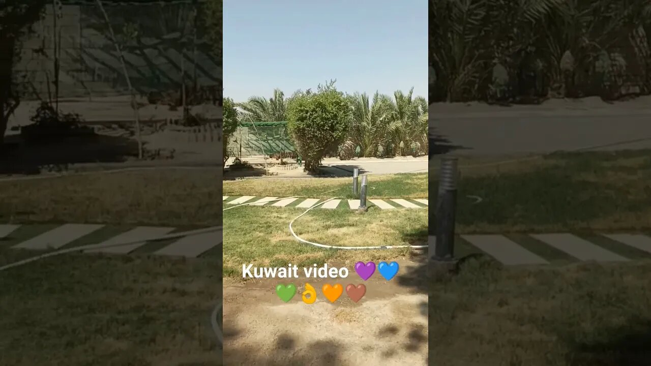 kuwait city | #shorts #trending #kuwait#trending #kuwaitcity #shortvideos #youtubeshorts