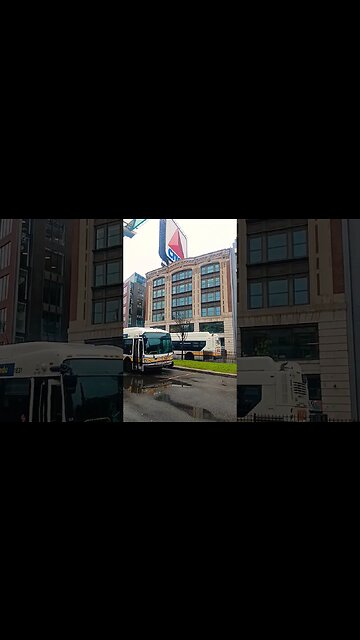 We are the home of many Championships. Boston Massachusetts