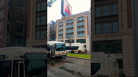 We are the home of many Championships. Boston Massachusetts