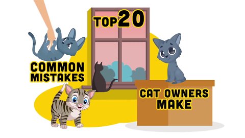 Common Mistakes That Cat Owners Make