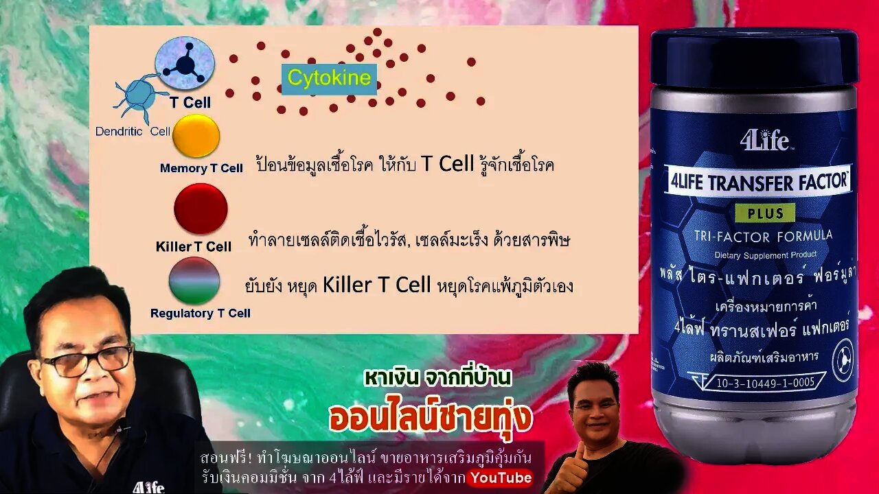 T Cell ตัวควบคุม ทำให้เกิด ภูมิคุ้มกันที่สมดุล