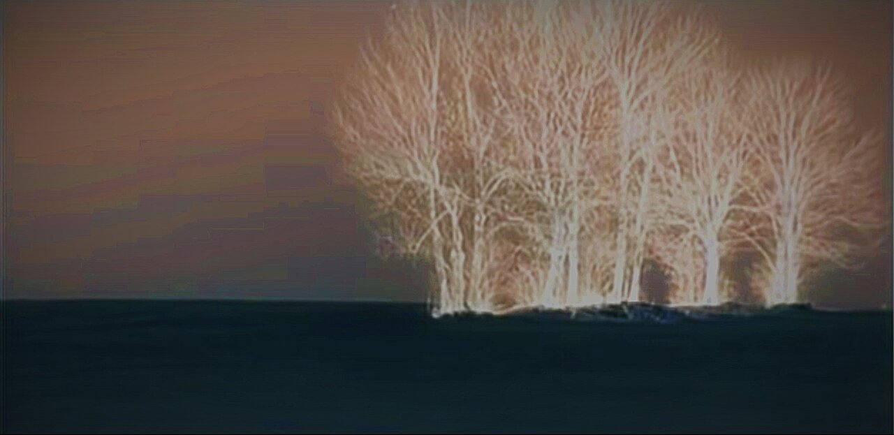 Moonlight and Tears