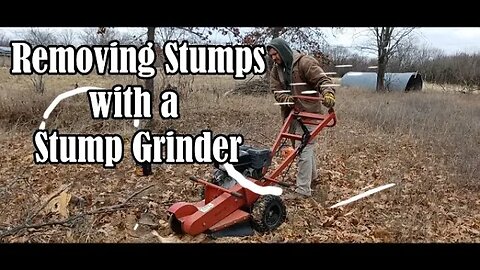 How to Remove Stumps Using a Stump Grinder