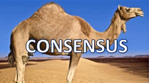 A Camel Is A Horse Designed By A Committee