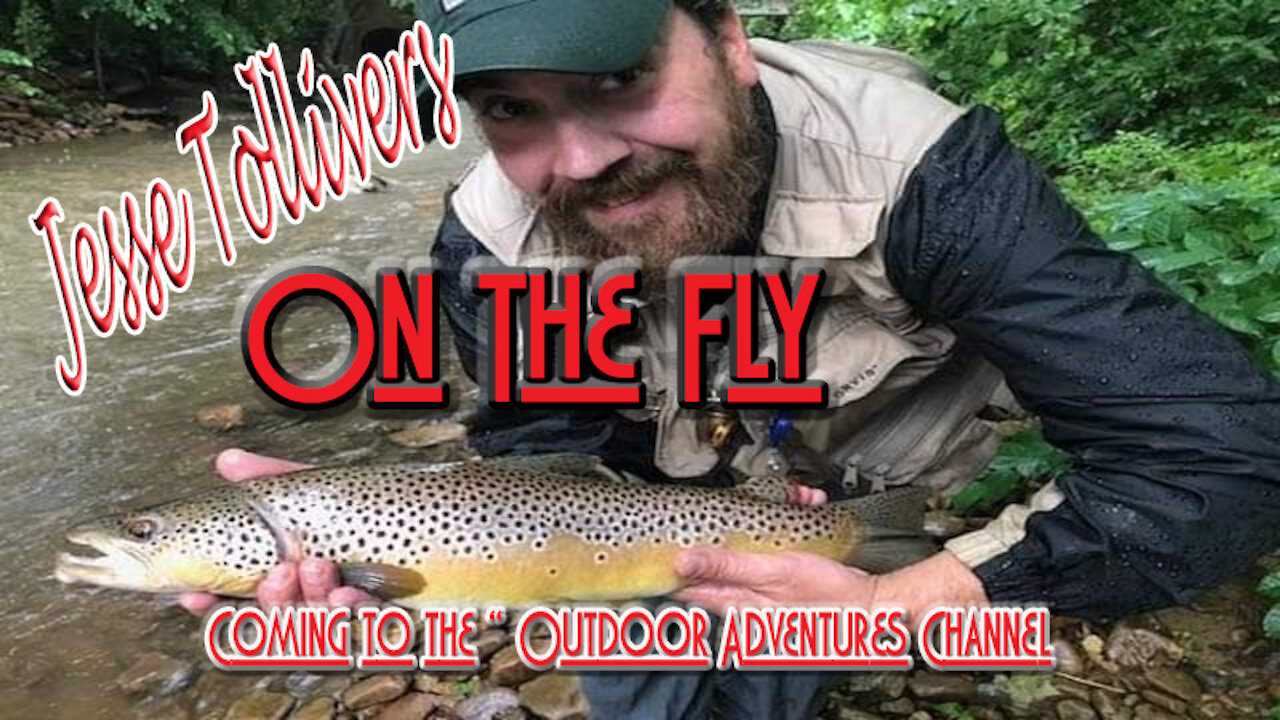 "On The Fly" Watauga River Rainbows