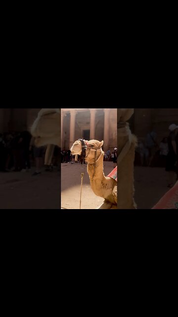 The Lost City of Petra | Legacy Well Protected