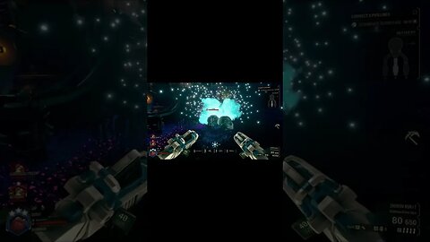 Deep Rock Galactic Loot Bug Swarm #003