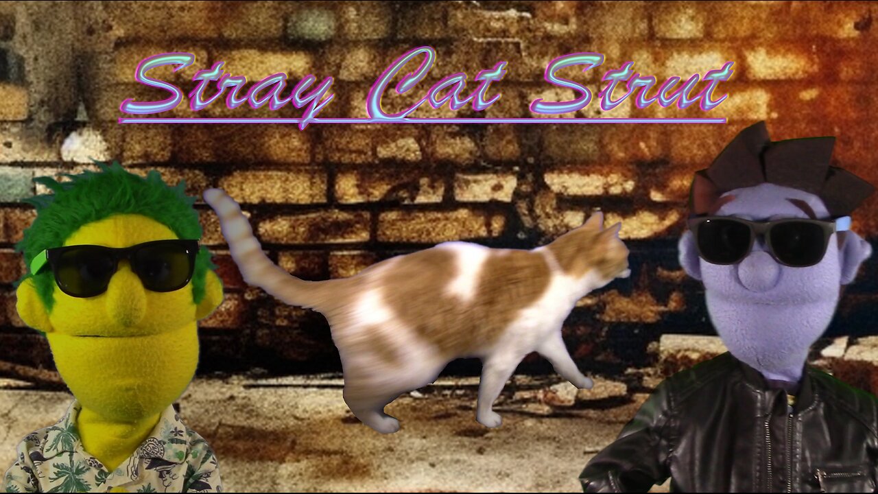 "Stray Cat Strut" Stray Cats *cover*