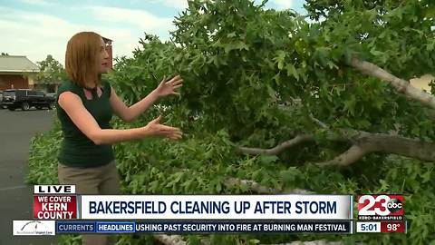 Clean up continues after storms blow through