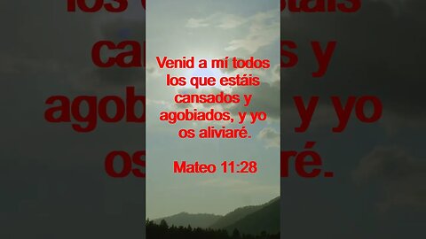 Verso Del Día | Lectura Inspiradora Para Empezar El Día. | 24