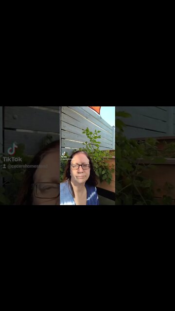 I Want Chickens! Why Homestead?