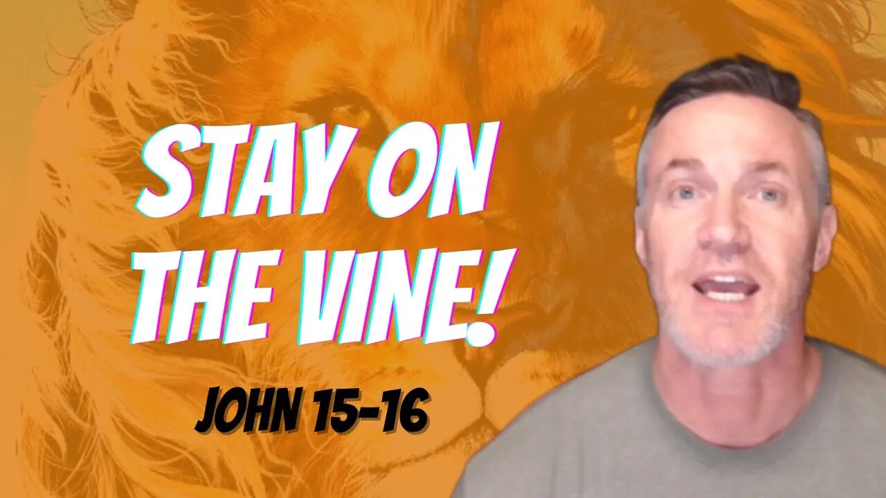 Daily Bible Breakdown Thursday, November 10th 2022 - John 15-16