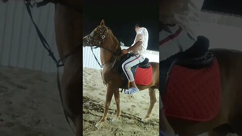 #horse #trending #youtubeshorts #viralvideo #shortsyoutube #love #ytshorts #duet ❤🙊🙊🙊
