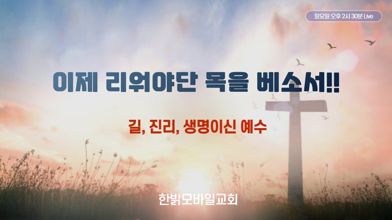 이젠 리워야단 목을 베소서!! [한밝예배] 220403(일) 한밝모바일교회