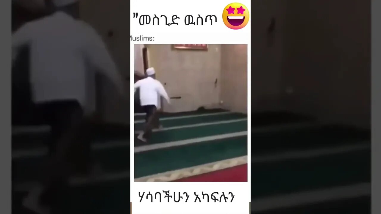 አይጥ በመስጊድ ዉሰጥ #shortcompilation #shorts