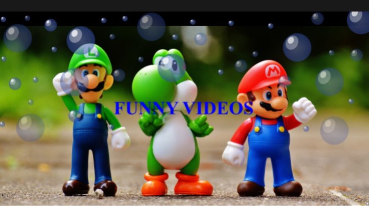 FUNNY VIDEOS