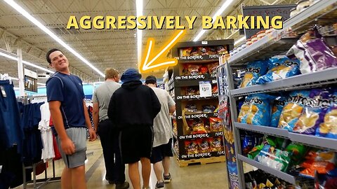 AGGRESSIVELY BARKING at STRANGERS PRANK!