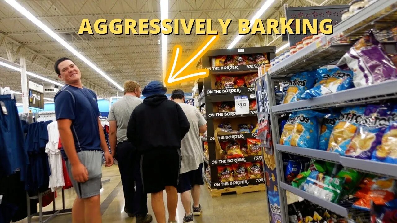 AGGRESSIVELY BARKING at STRANGERS PRANK!