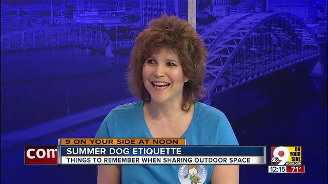 Summer dog etiquette