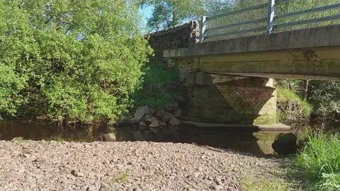 Playing Guitar Near Gary the Fish Fiddlers Bridge with Bird Singing Along to It