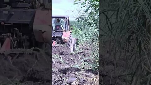 Tractors plow