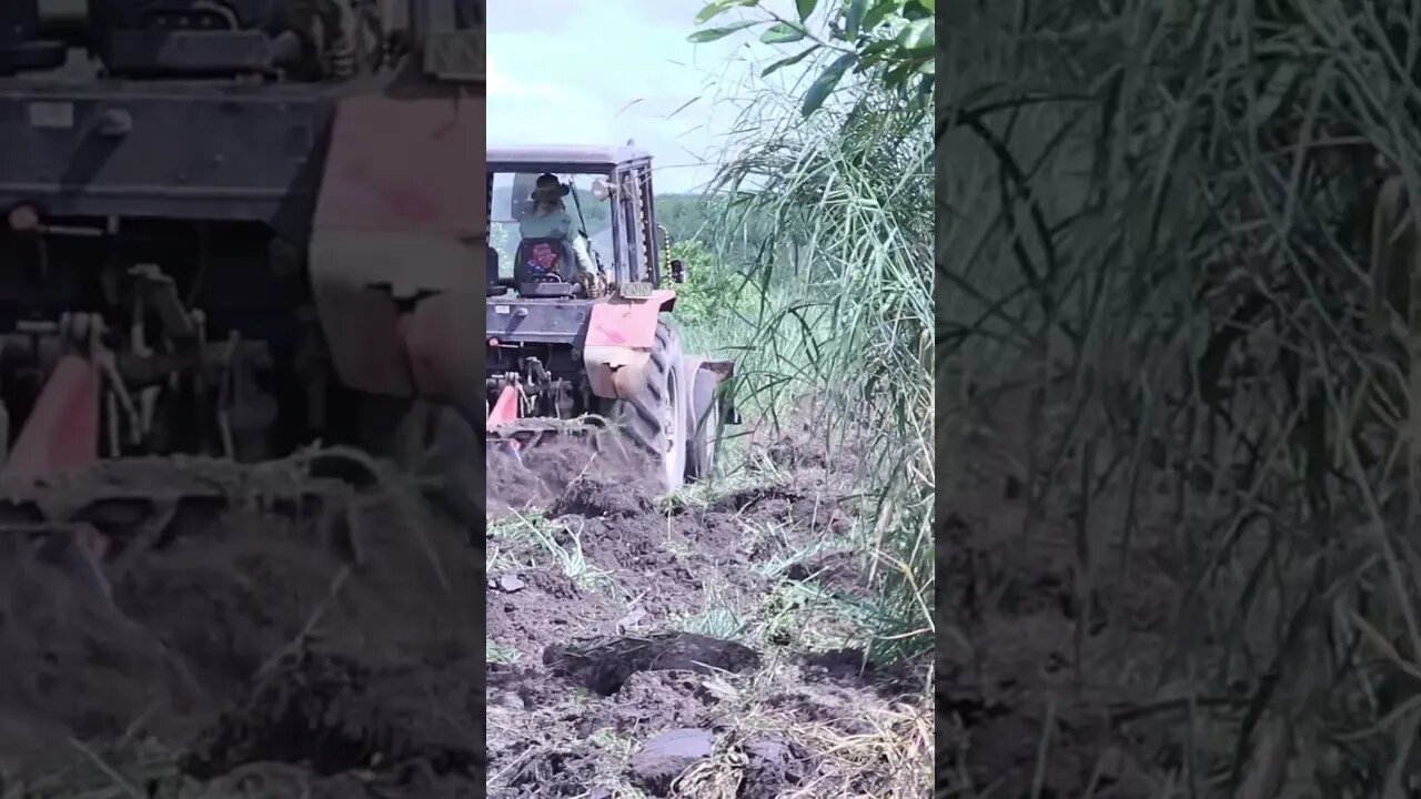 Tractors plow