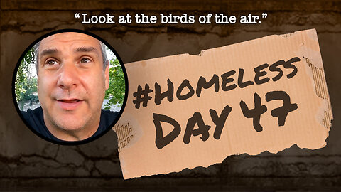 #Homeless Day 47: “Look at the birds of the air.”