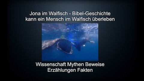 Jona im Walfisch Bibel Geschichte Wissenschaft Mythen Beweise Fakten Mensch im Walfisch Taucher