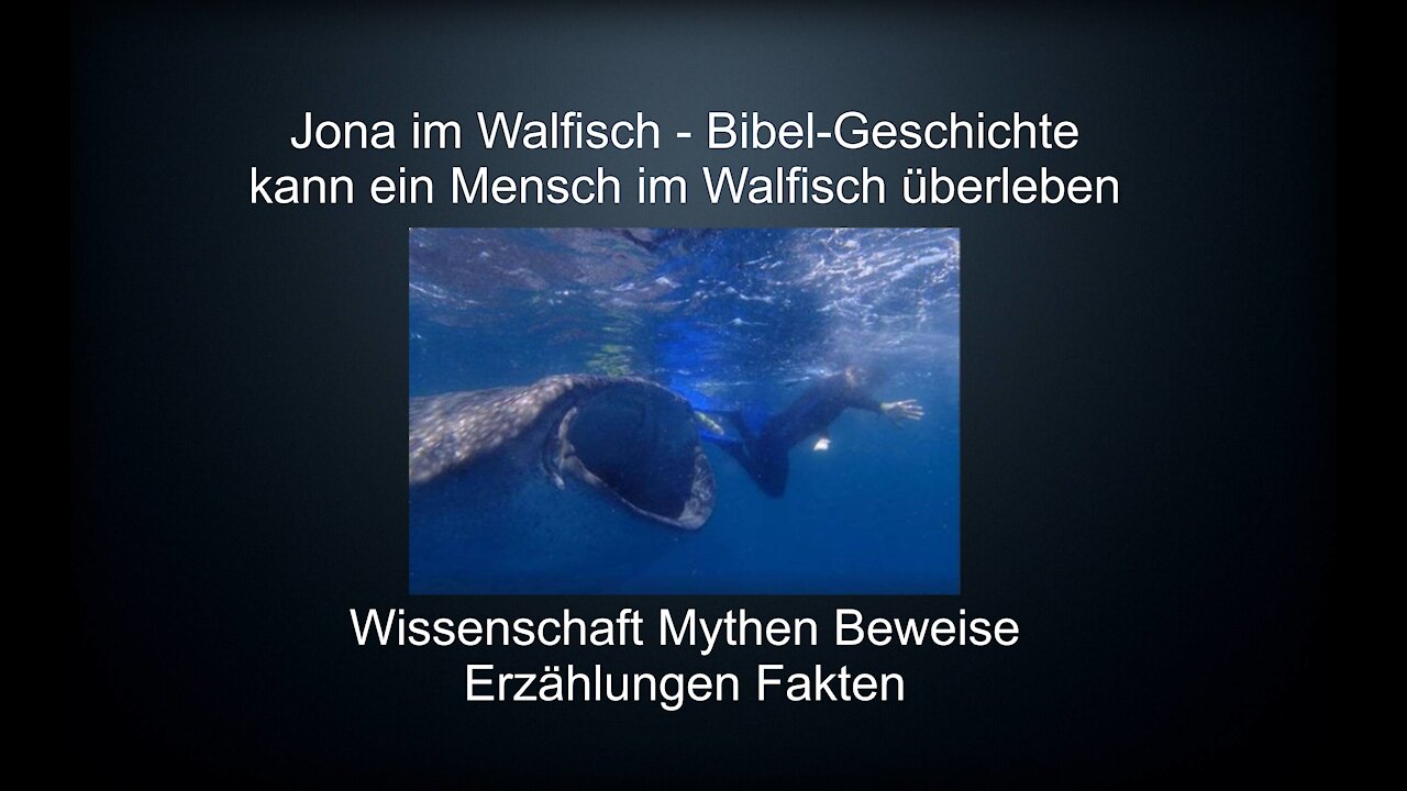 Jona im Walfisch Bibel Geschichte Wissenschaft Mythen Beweise Fakten Mensch im Walfisch Taucher