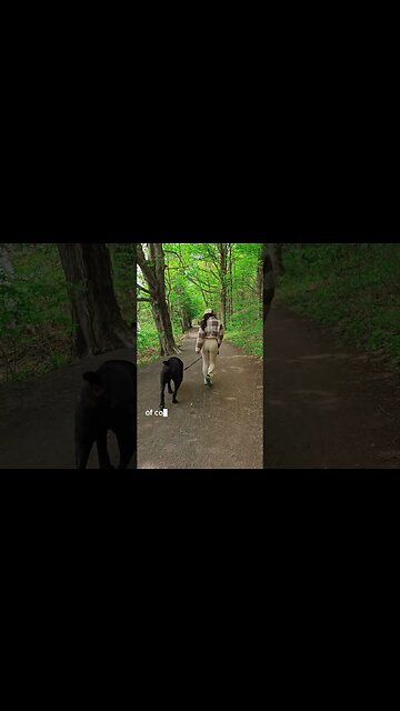 BEST Natural TICK Remedy for Dog's & Humans