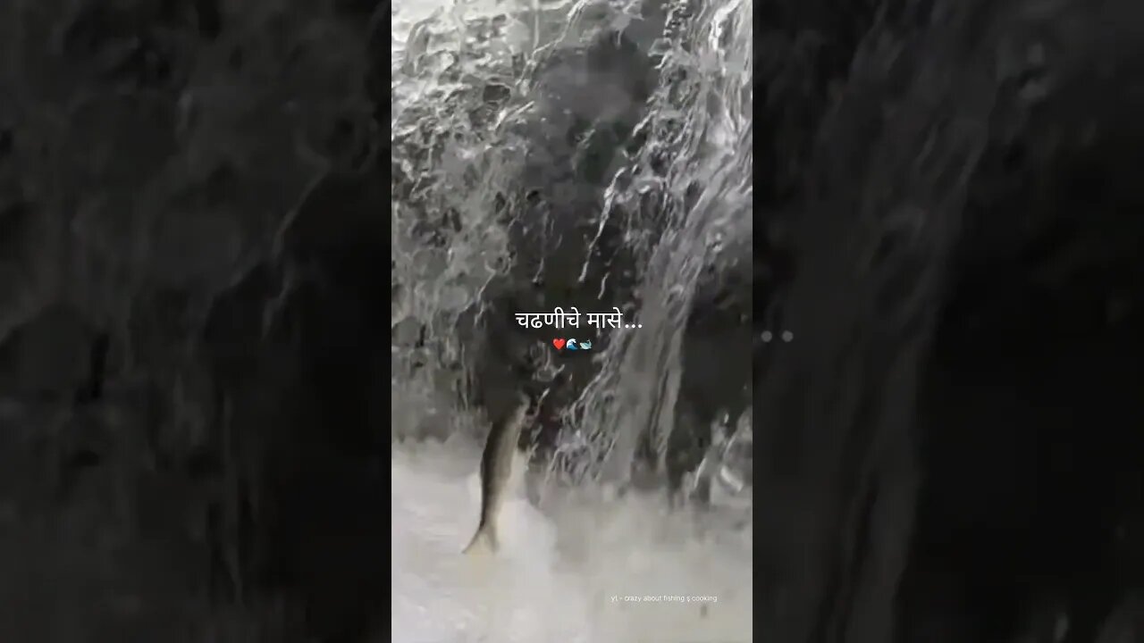 चढणीचे मासे ... ❤️🌊🐋 आमचो कोकण