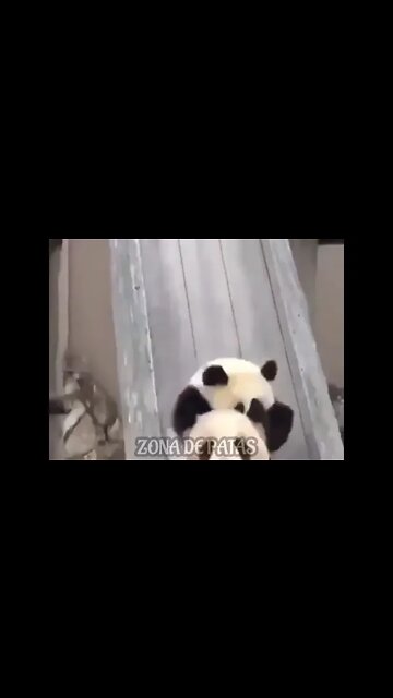 QUANDO VOCÊ É ENCRENQUEIRO 🤣🤣🤣