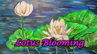 Lotus Blooming