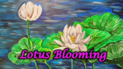 Lotus Blooming
