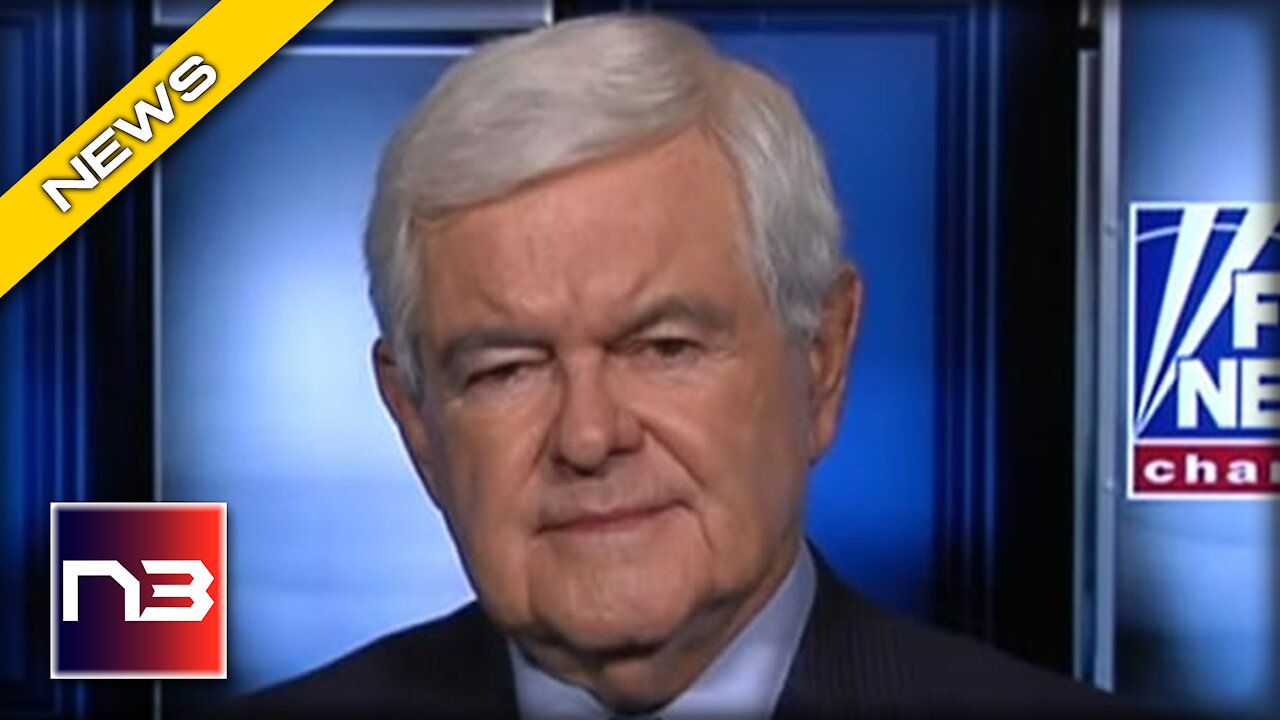 Gingrich Turns to the Camera UNLOADS on Biden, Harris during SCORCHING Interview