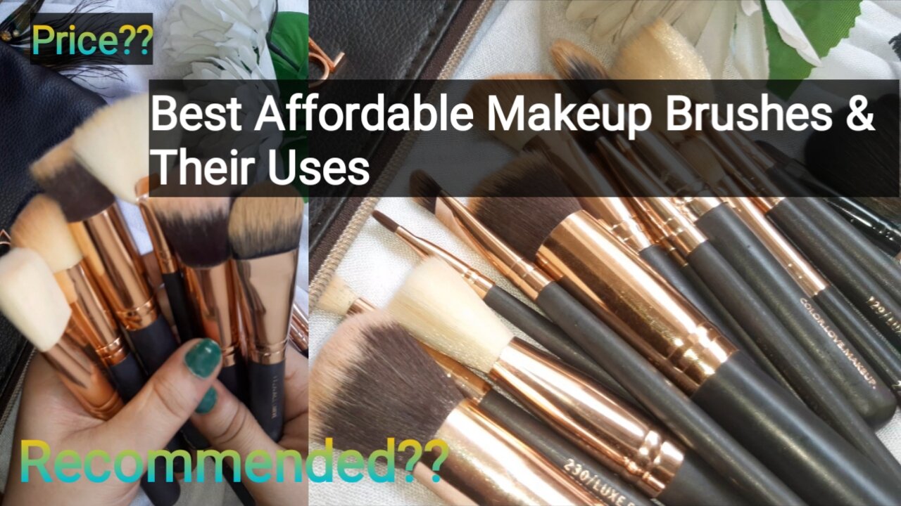 Affordable Makeup Brushes & Their Uses for beginners