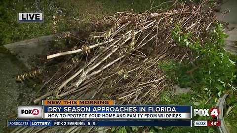 How to protect your home and family from wildfires in Florida