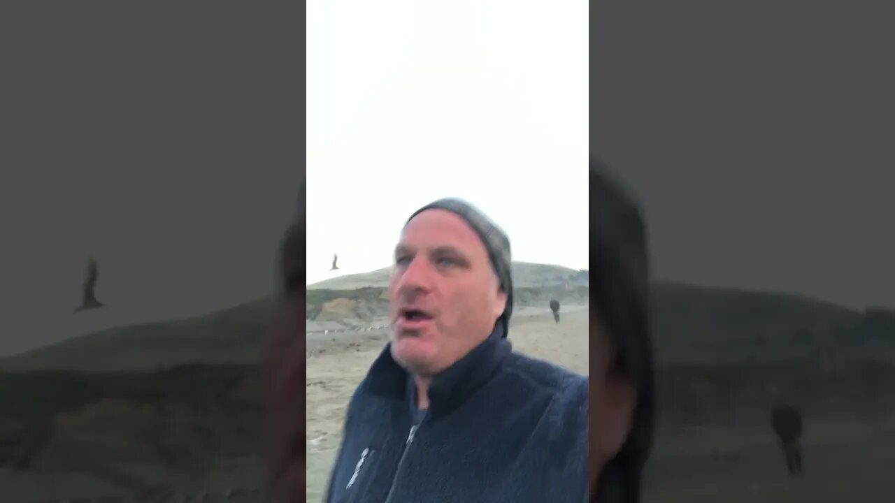 August 15, 2023 runs w birds