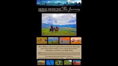 Horse Medicine