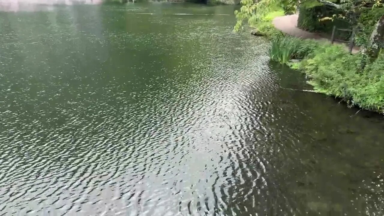 후쿠오카