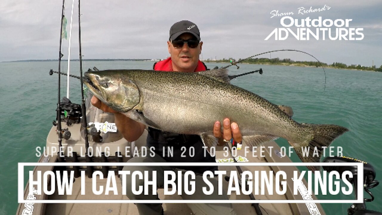 How I catch big staging Salmon, fishing solo on Lake Ontario. Long leaders in shallow water