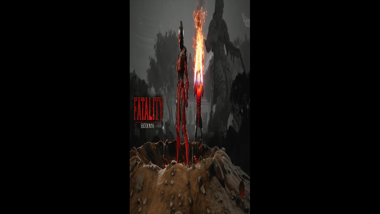 MK1 Woke Sektor Mirror Match