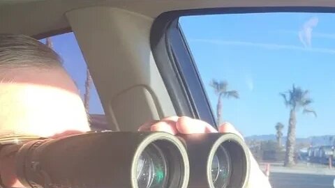 Searching For Tony Pizza